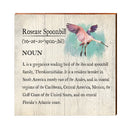 Roseate Spoonbill Definition Wooden Sign | Wall Art Print on Real Wood | Bird Home Decor