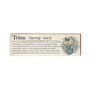 Triton Definition Wooden Sign | Wall Art Print on Real Wood