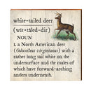 White Tailed Deer Definition Wooden Sign | Wall Art Print on Real Wood | Mountain Cabin Lodge House Home Decor