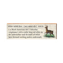 White Tailed Deer Definition Wooden Sign | Wall Art Print on Real Wood | Mountain Cabin Lodge House Home Decor