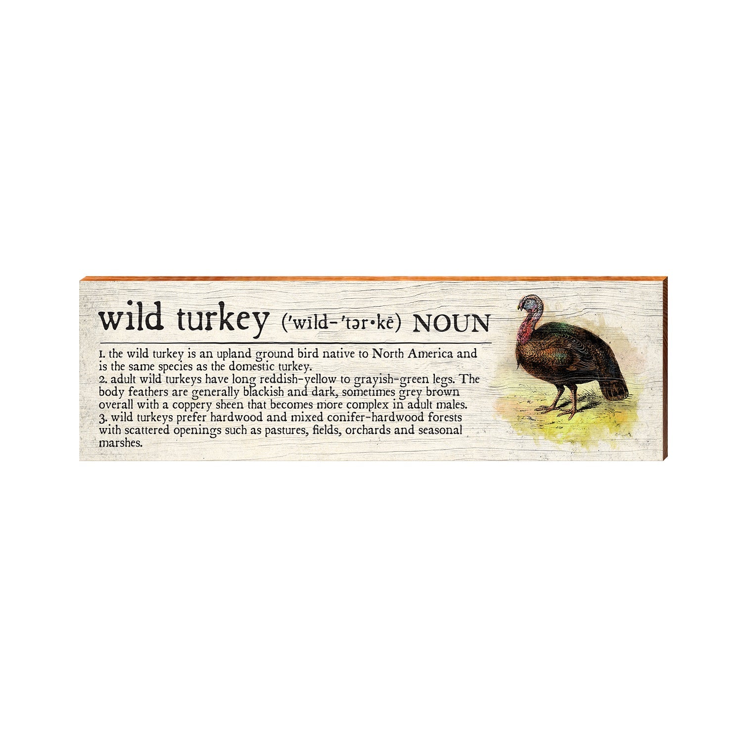 Wild Turkey Definition Wooden Sign | Wall Art Print on Real Wood