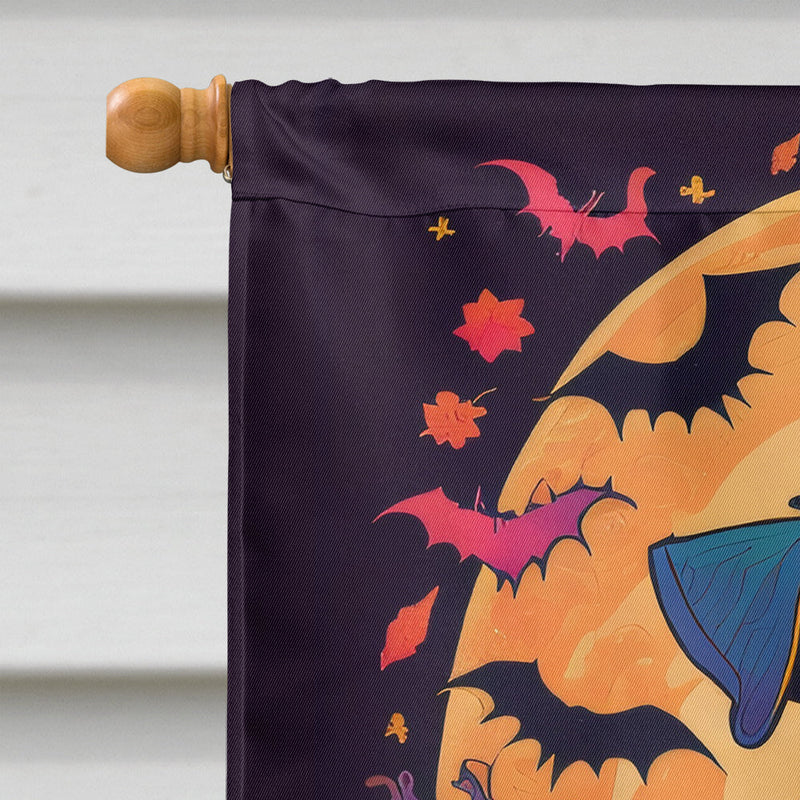 Schnauzer Witchy Halloween House Flag