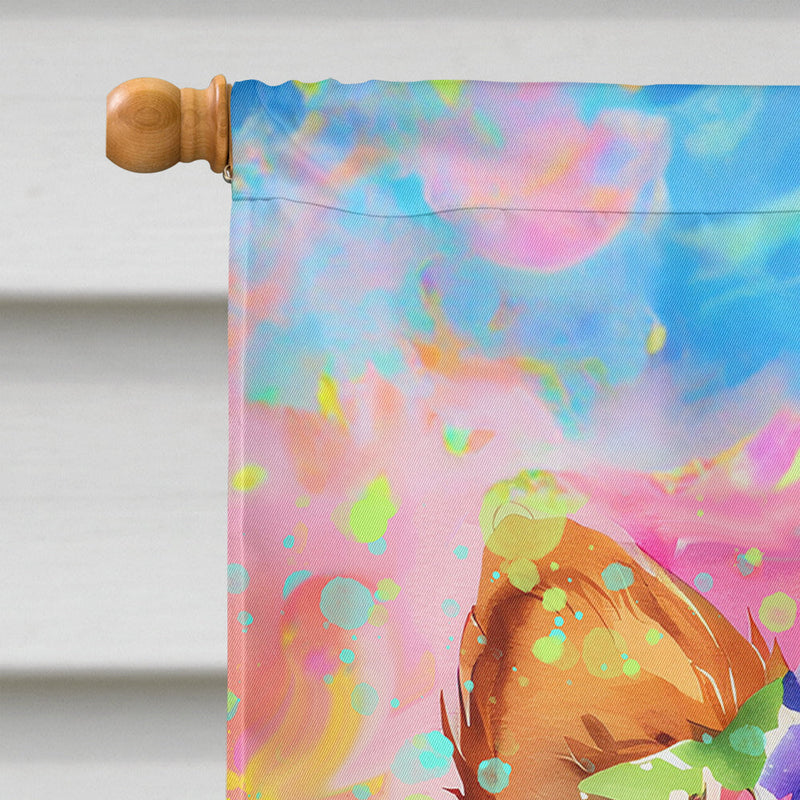 Pomeranian Hippie Dawg House Flag