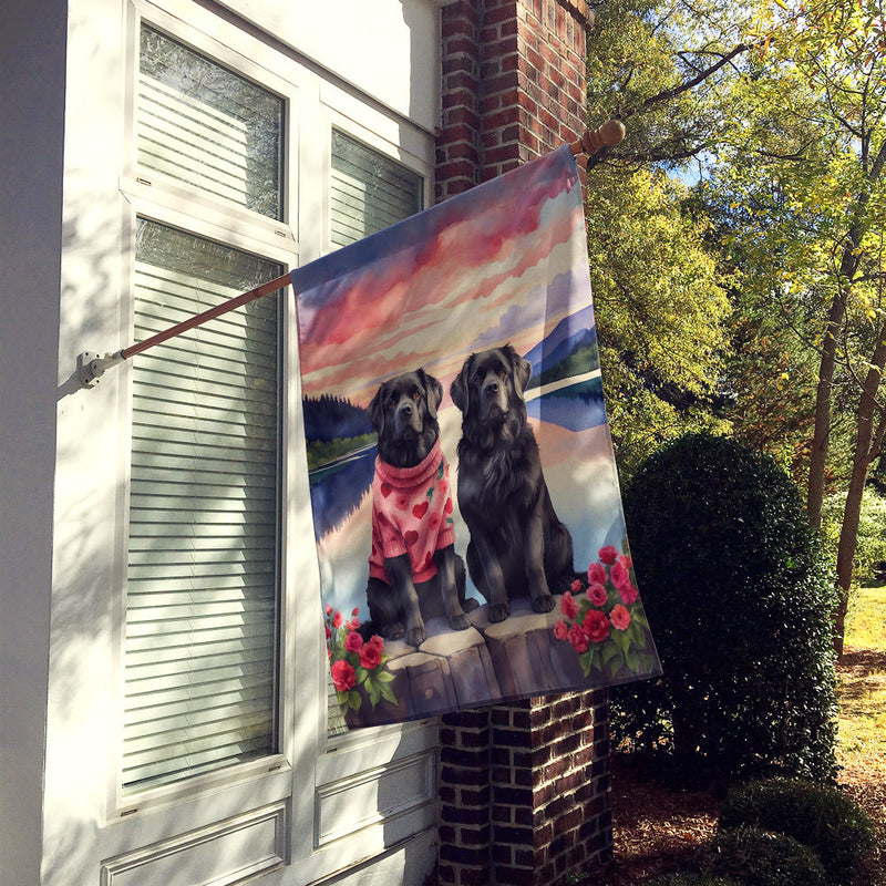 Newfoundland Two Hearts House Flag