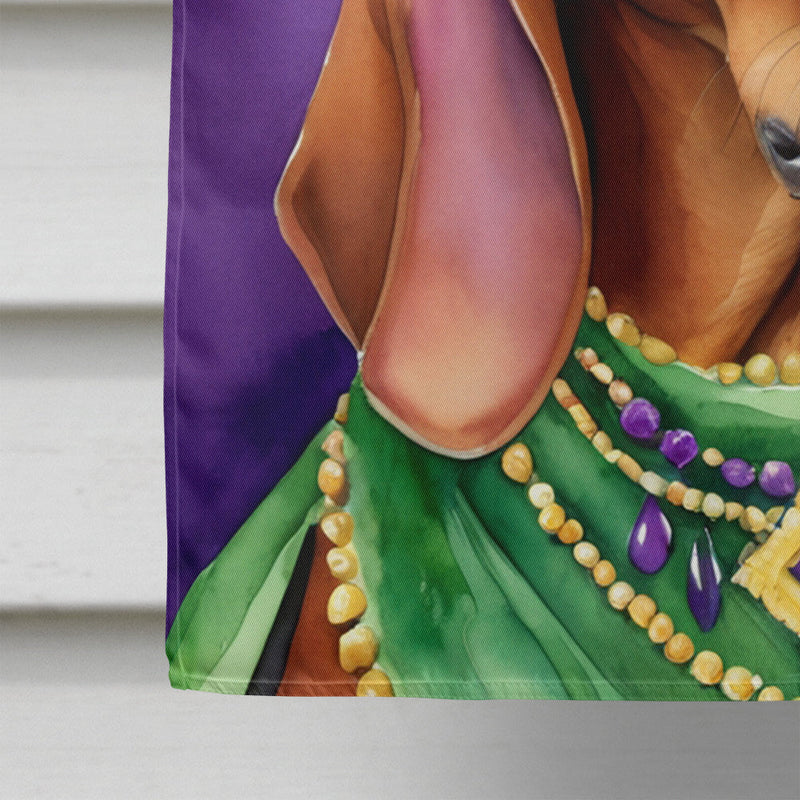 Redbone Coonhound King of Mardi Gras House Flag