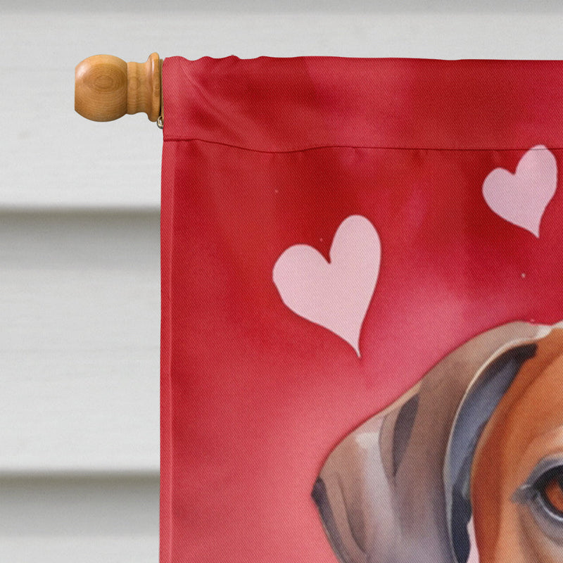 Rhodesian Ridgeback My Valentine House Flag