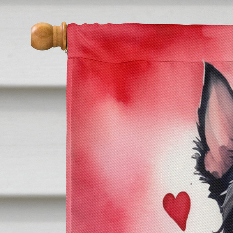 Scottish Terrier My Valentine House Flag