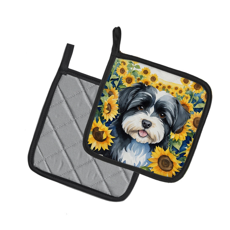 Havanese in Sunflowers Pair of Pot Holders