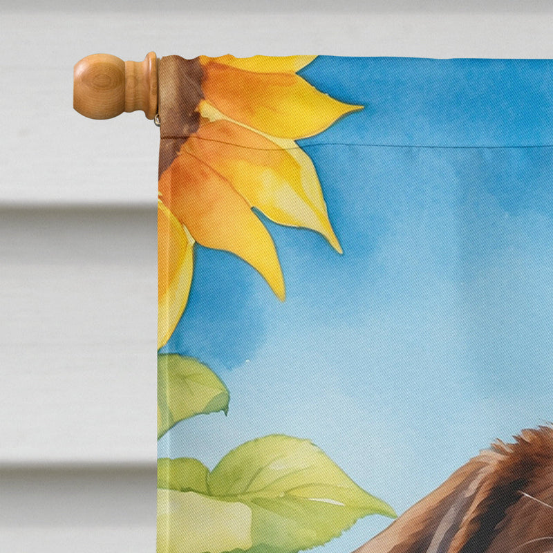 Labrador Retriever in Sunflowers House Flag