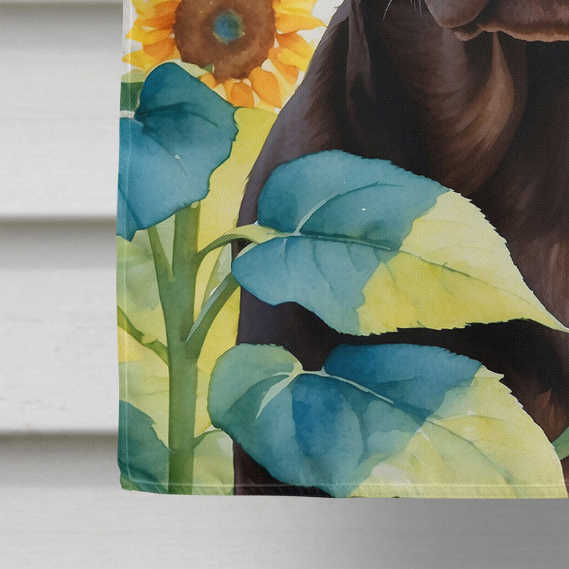 Labrador Retriever in Sunflowers House Flag