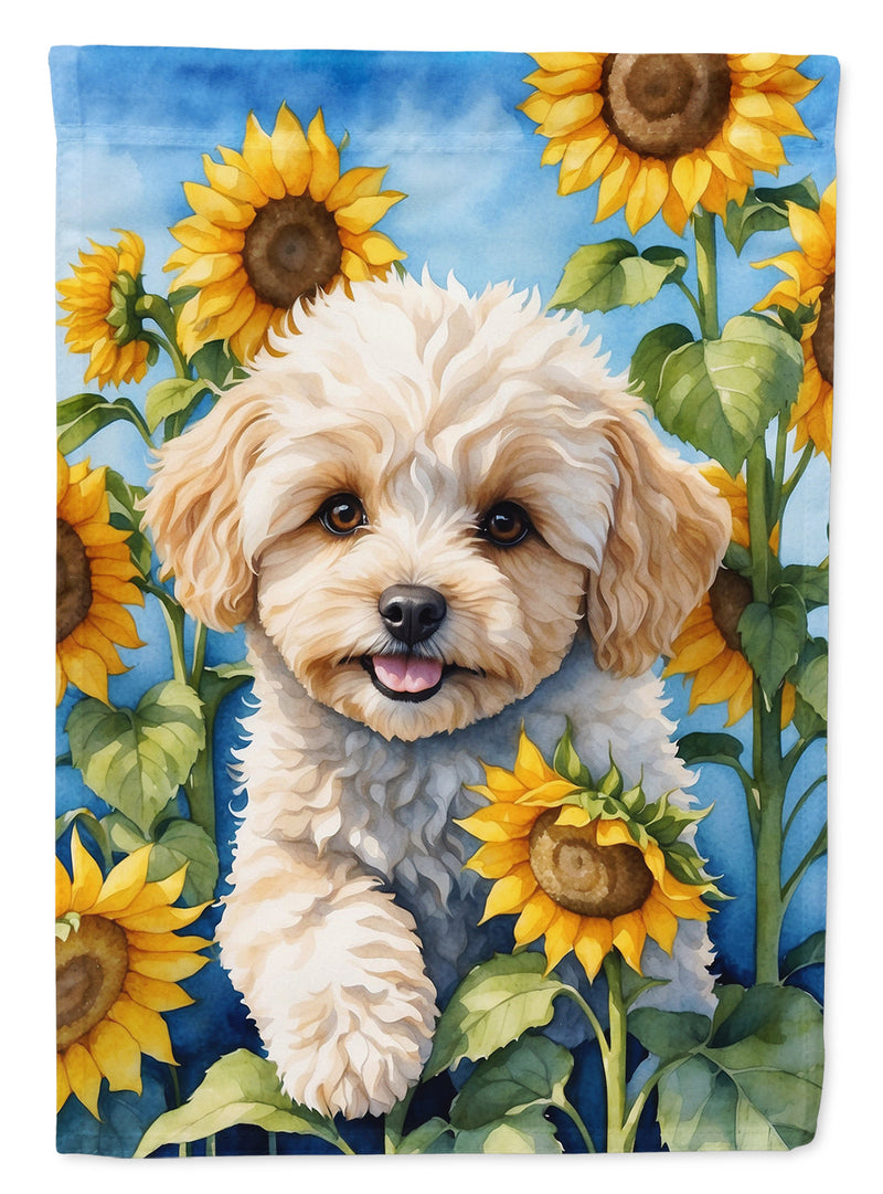 Maltipoo in Sunflowers House Flag