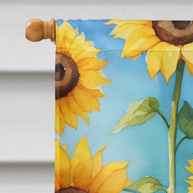 Pomeranian in Sunflowers House Flag