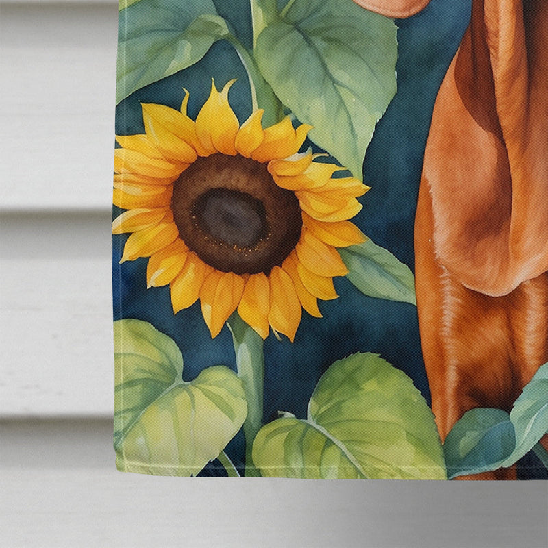 Redbone Coonhound in Sunflowers House Flag