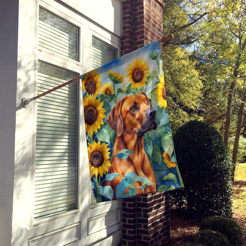 Rhodesian Ridgeback in Sunflowers House Flag