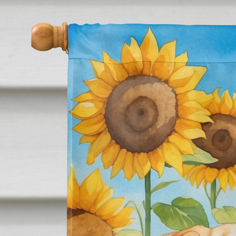 Shar Pei in Sunflowers House Flag