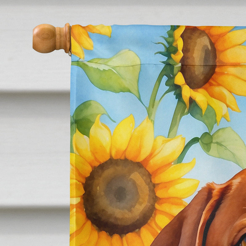 Vizsla in Sunflowers House Flag