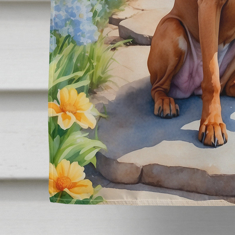 Rhodesian Ridgeback Spring Path House Flag