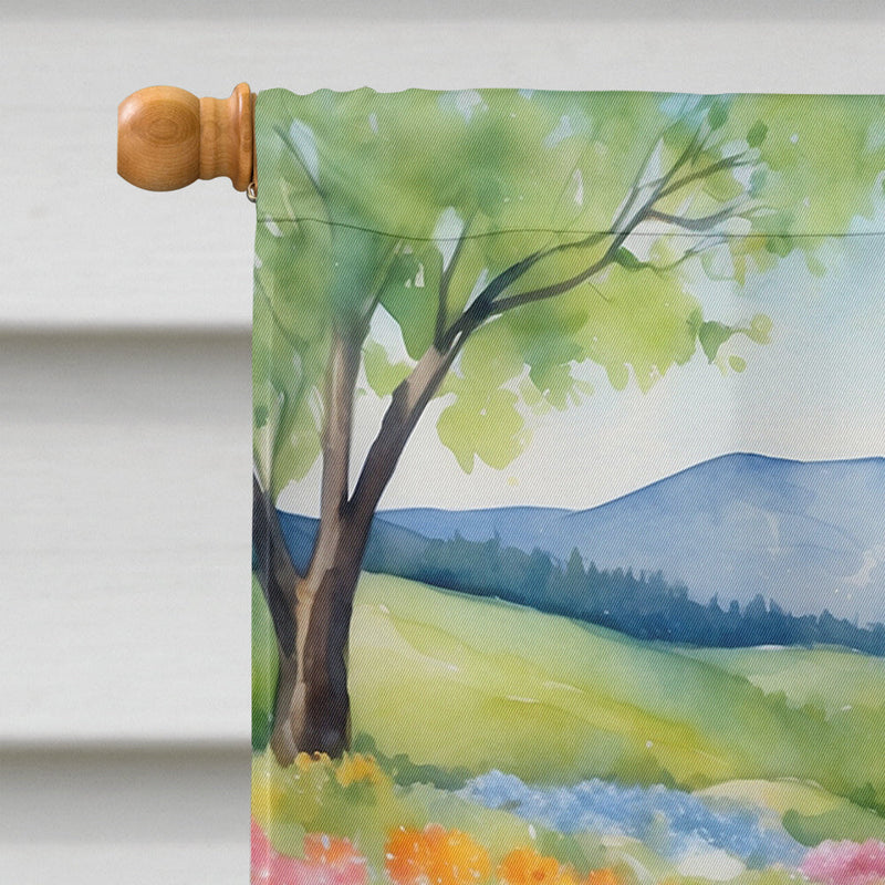 Saint Bernard Spring Path House Flag