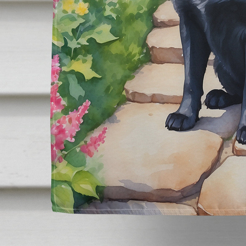 Schipperke Spring Path House Flag