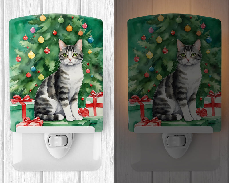 American Wirehair Cat By the Christmas Tree Ceramic Night Light