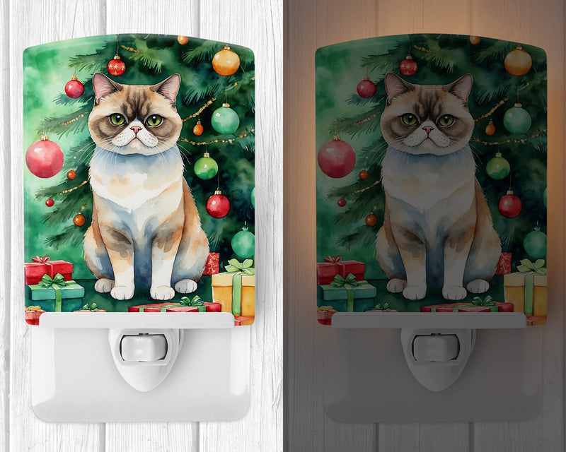 Exotic Shorthair Cat By the Christmas Tree Ceramic Night Light