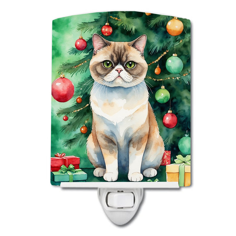 Exotic Shorthair Cat By the Christmas Tree Ceramic Night Light