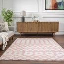 Darva Pink Plush Area Carpet