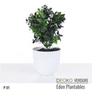 Plantable Artificial Plants - <b>JACINTA</b> Collection (10 different plants) | DECKO Verdure Eden Plantables