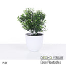 Plantable Artificial Plants - <b>JACINTA</b> Collection (10 different plants) | DECKO Verdure Eden Plantables