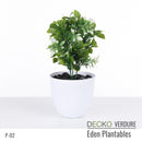 Plantable Artificial Plants - FLORA - Collection (8 different plants) | DECKO Verdure Eden Plantables