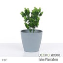 Plantable Artificial Plants - FLORA - Collection (8 different plants) | DECKO Verdure Eden Plantables