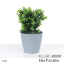 Plantable Artificial Plants - FLORA - Collection (8 different plants) | DECKO Verdure Eden Plantables