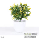 Plantable Artificial Plants - FLORA - Collection (8 different plants) | DECKO Verdure Eden Plantables