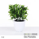 Plantable Artificial Plants - FLORA - Collection (8 different plants) | DECKO Verdure Eden Plantables