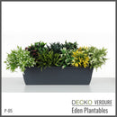 Plantable Artificial Plants - MARIGOLD Collection (9 different plants) | DECKO Verdure Eden Plantables