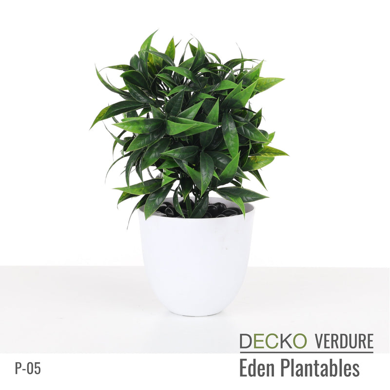 eden indoor plants Plantable Artificial Plants - MARIGOLD Collection (9 different plants)