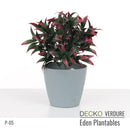 Plantable Artificial Plants - MARIGOLD Collection (9 different plants) | DECKO Verdure Eden Plantables