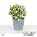 Plantable Artificial Plants - MARIGOLD Collection (9 different plants) | DECKO Verdure Eden Plantables