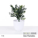 Plantable Artificial Plants - DAHLIA Collection (7 different plants) | DECKO Verdure Eden Plantables