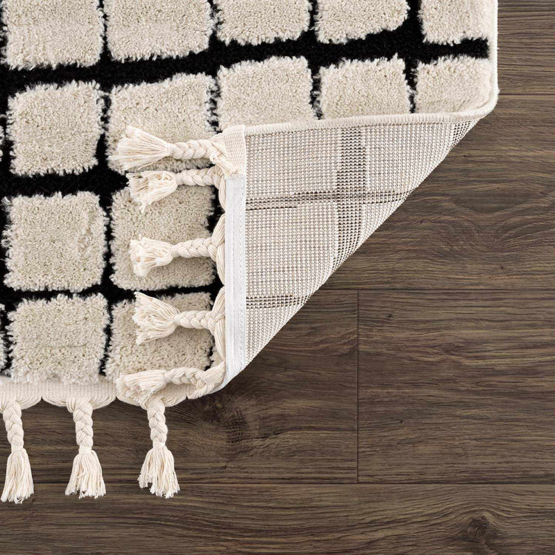 Teshi Checkered Area Rug