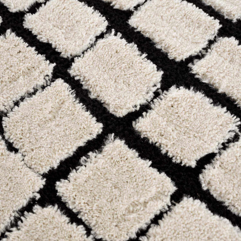 Teshi Checkered Area Rug