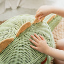 Dinosaur Storage Basket - Large