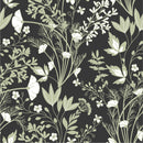 Green Herbs Wallpaper