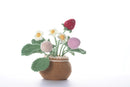 Strawberry Amigurumi Crochet Kit by Wizardi F07N8-M32