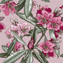 Elegant Pink Floral Wallpaper Tasteful