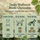 Allergy Support Soft Chews for Dogs | 60 Chews - 6.35 oz | LivHerbals, Inc.