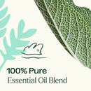 Dalmatian Sage Essential Oil