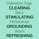 Dalmatian Sage Essential Oil