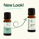 Dalmatian Sage Essential Oil