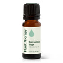 Dalmatian Sage Essential Oil
